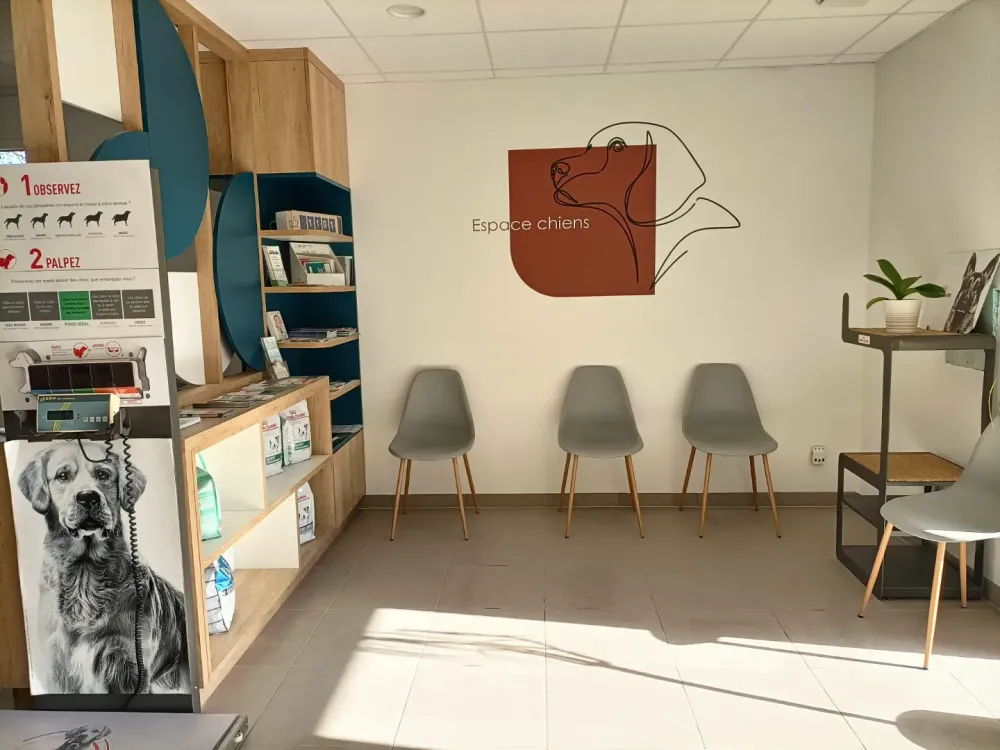 clinique-5